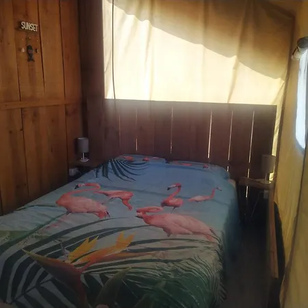 Perola De Sandy * Paderne (Faro)