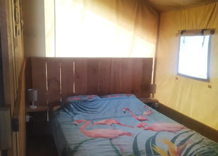 アパート Perola De Sandy