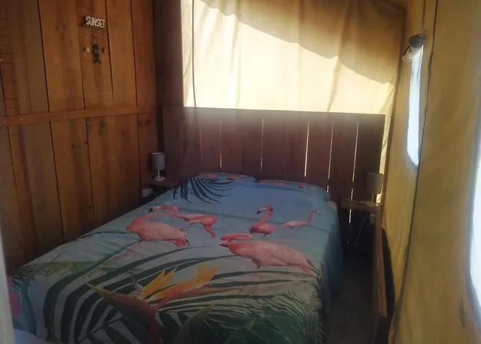 Perola De Sandy * 파데르네